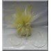 Gold Sheer Organza Bomboniere 