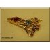 24K Gold Plated Space Shuttle with Austrian Crystals Gift Favor Idea