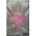 Silky Lily Christening Baptism Candle  